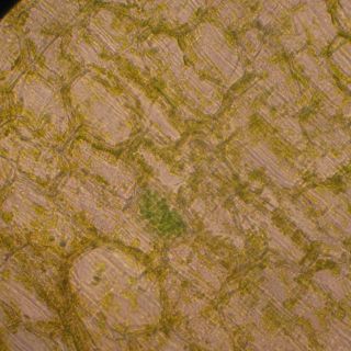 Loading...